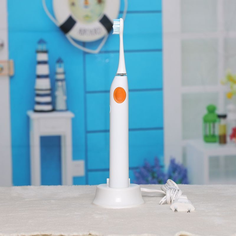 BLYL 48000/Min Ultrasonic Waterproof Rechargeable Electric Toothbrush with 4 Heads Oral Hygiene Dental Care for Adults